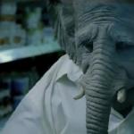 "Słoń" - film krótkometrażowy