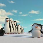 Film dokumentalny: "Pingwiny z Antarktydy"