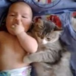 Kot, zakochany w niemowlaku