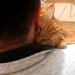 Ten kot KOCHA się przytulać!